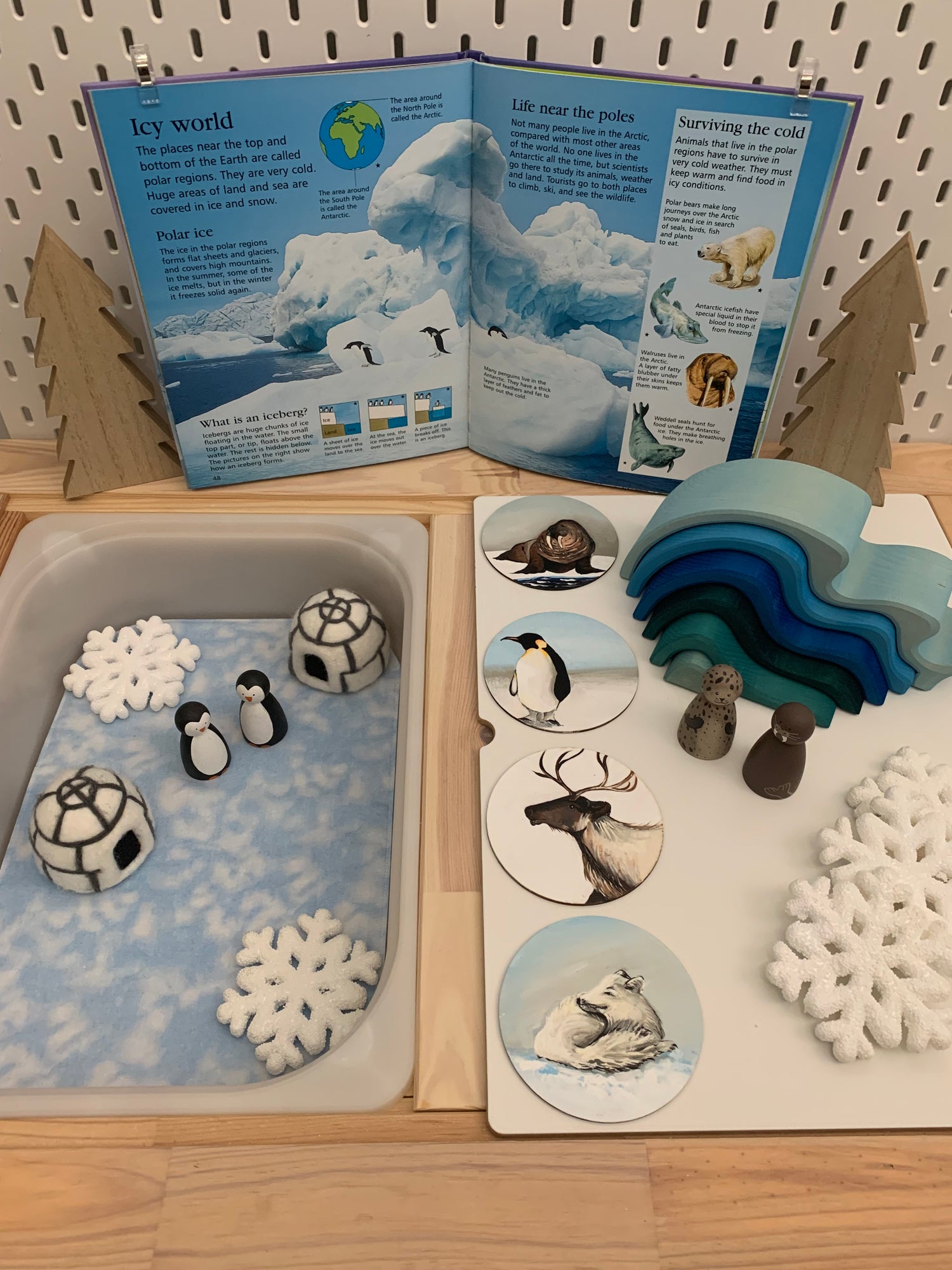 POLAR & FROZEN KINGDOMS