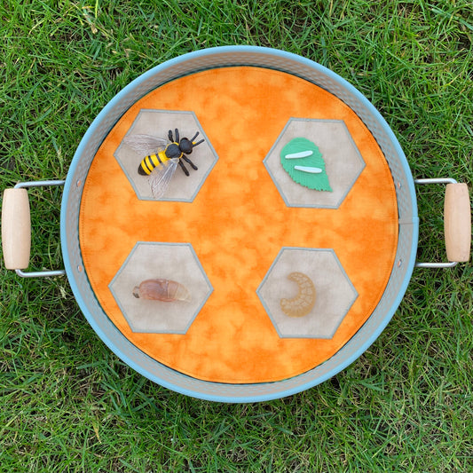 Bee Lifecycle Play Mat - IN STOCK -  Light Green Reverse