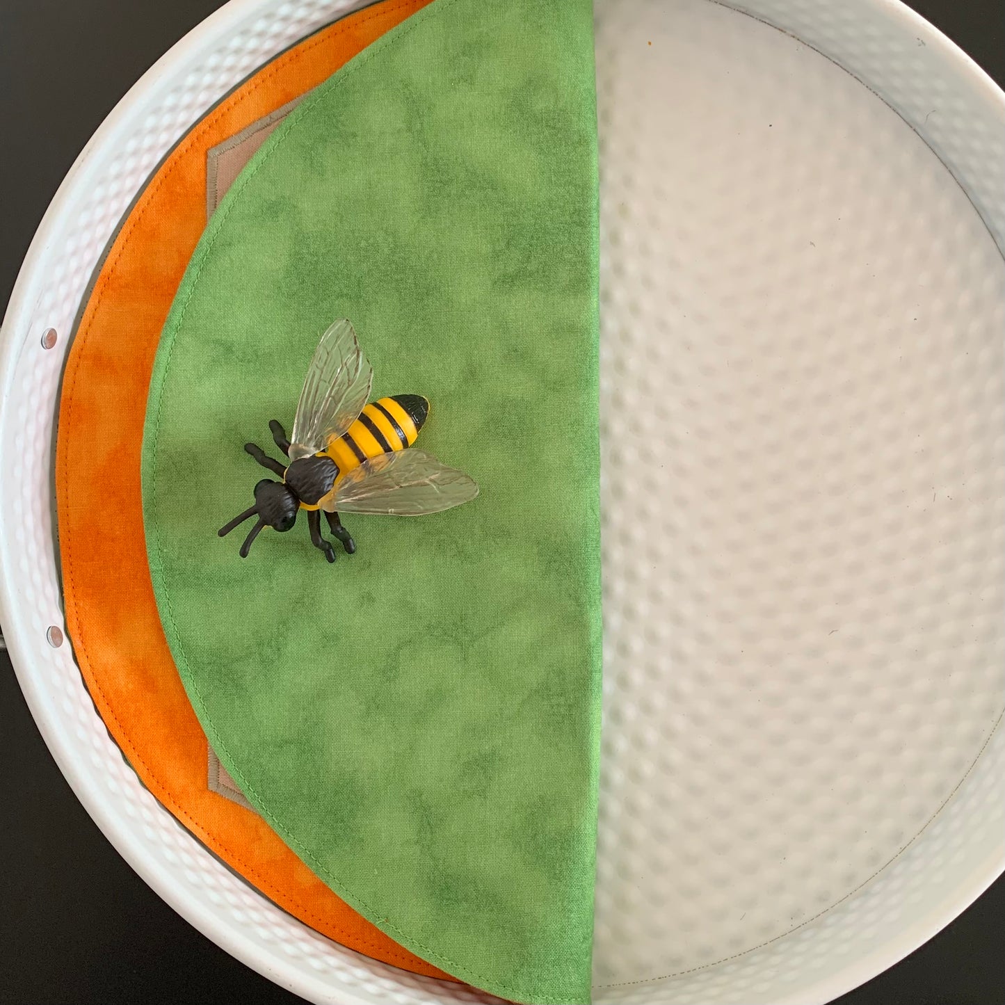 Bee Lifecycle Play Mat - IN STOCK -  Light Green Reverse