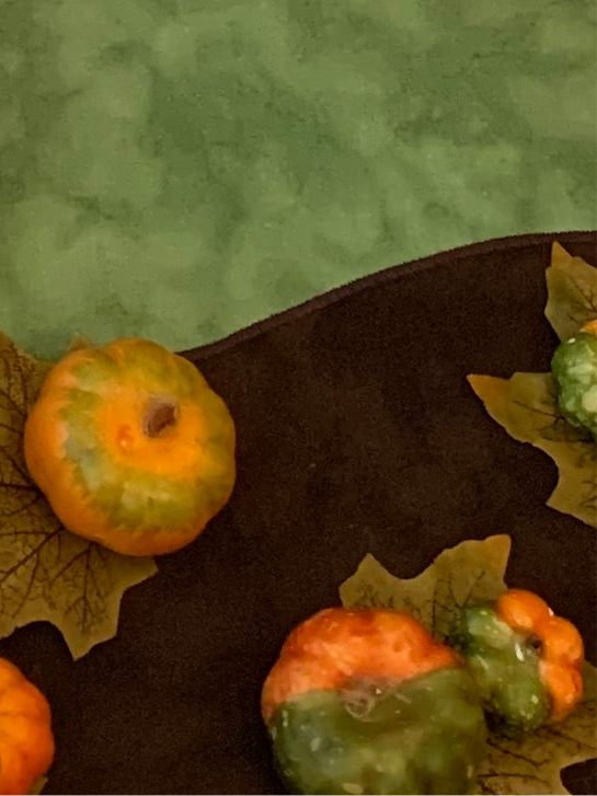 Grass & Earth - MADE TO ORDER - Circular Play Mat - Deep Blue Reverse