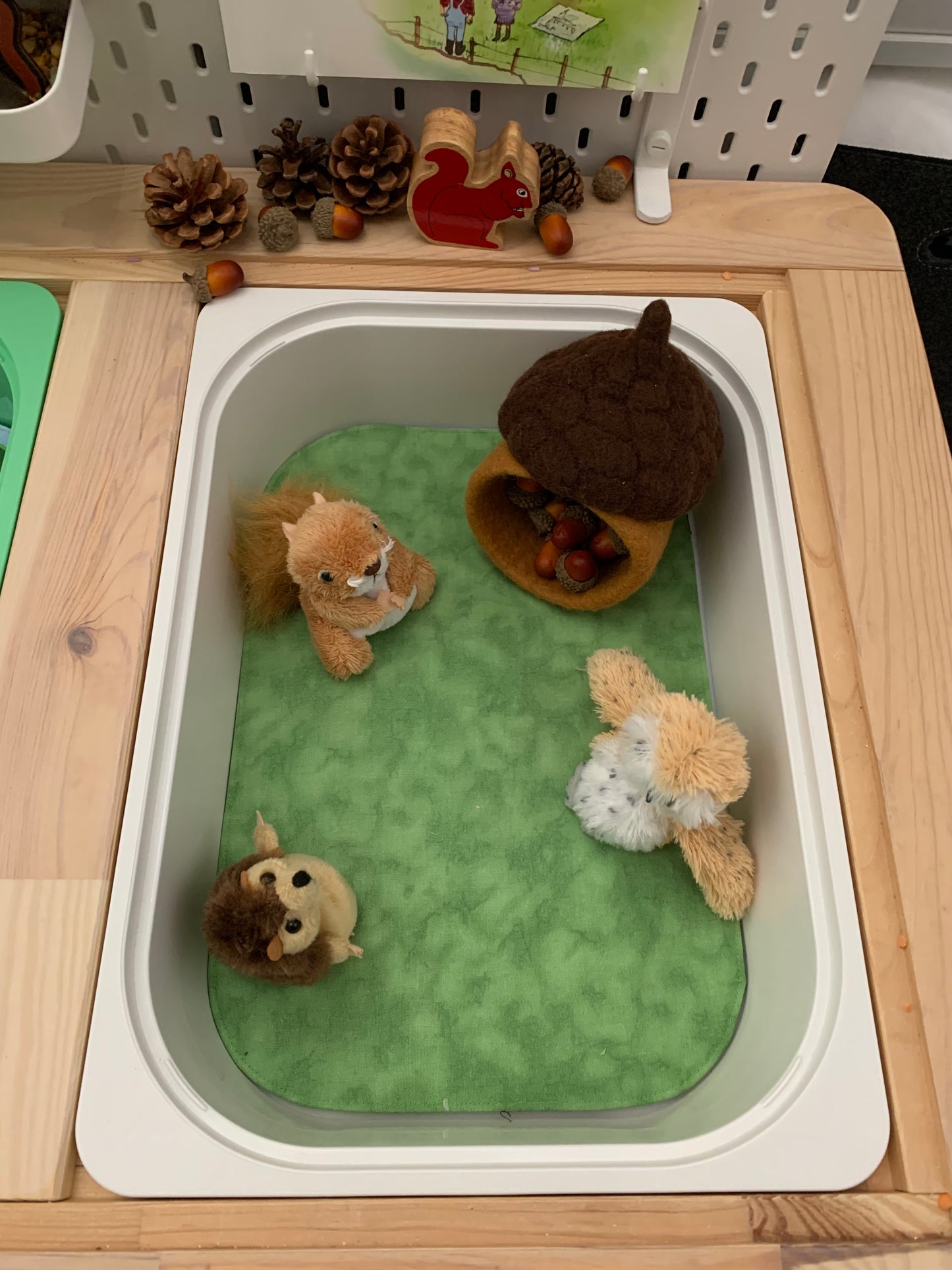 Tree Tray Play Mat - IN STOCK - Light Green Reverse