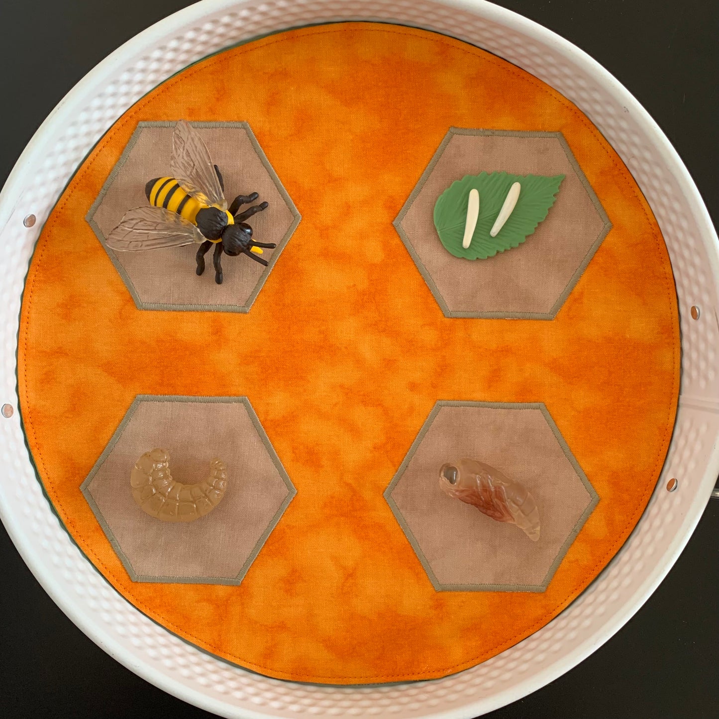 Bee Lifecycle Play Mat - IN STOCK -  Light Green Reverse